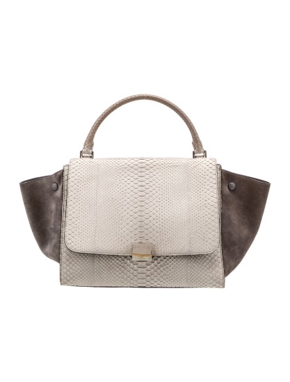 Celine Python Trapeze Small Clasp Cls Top Hdl Bag