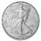 2024-w Burnished American Silver Eagle W/ Coa