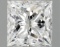 Igi Certified Princess Cut 1.54ct Vs1 Lab Diamond