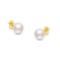 14k Gold Round White Cultured Pearl Stud Earrings