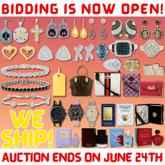 LV Bags, Rolex, Diamonds, Jewelry, & Coins! SHIPS!