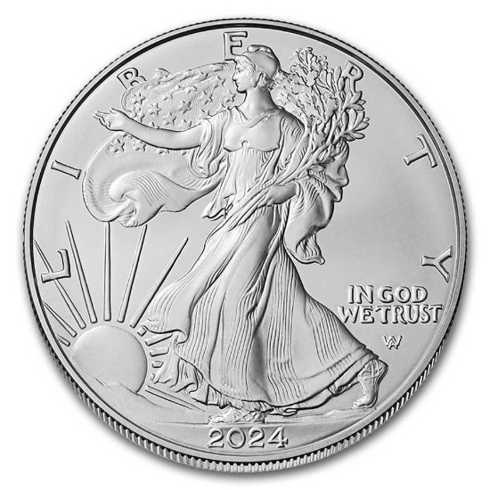 2024-w Burnished American Silver Eagle W/ Coa