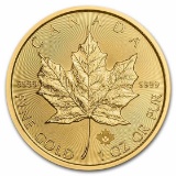 2021 Canada 1 Oz Gold Maple Leaf Bu