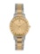 Movado Classic Gold Dial Quartz Men's 35mm