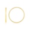 14k Gold Endless Hoop Style Earrings