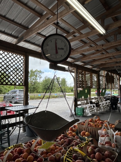 Hanging Manual Produce Scale