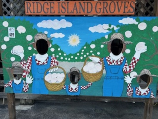 Ridge Island Groves Picture Prop