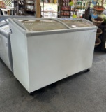 Fricon Display Freezer