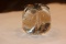 Control Bubble Fruit Paperweight