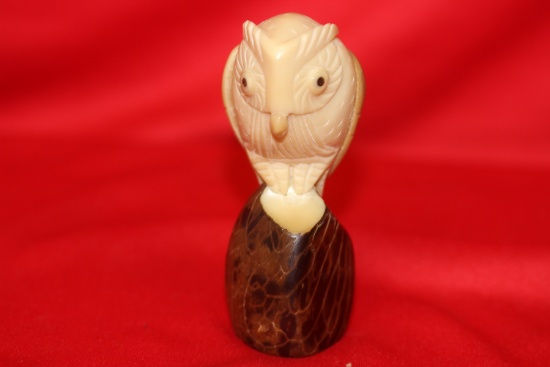An Owl