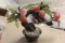 Jade Tree