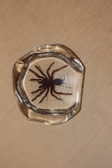 Lucite Spider Brock