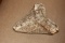 Shark Tooth Motief Glass Paperweight