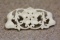 Well Carved Bone Pin