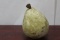 A Real Size Stone Pear