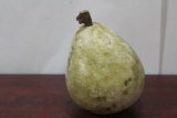 A Real Size Stone Pear