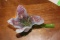 Artglass Flower