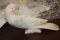 Stone Bird