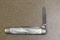 Rare Olean Mother of Pearl Pocket Knife