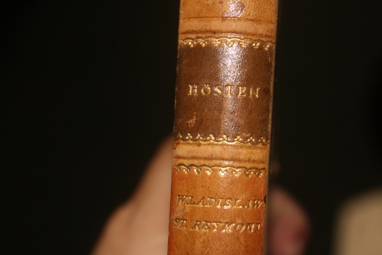 Leather Hardvocer Book: Hosten by Reymont
