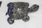 Chinese Lapis Lazuli Turtle
