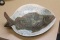 Ceramic fish plate
