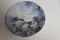Collector's Plate 