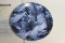 Collector's Plate 