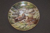 Collector's Plate 