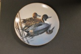 Collectable Plate 