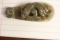 An Antique/Vintage Chinese Jade Belt Hook