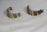 A Pair of Sterling Earrings