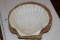 Real Shell Dish