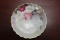 A Bavaria Hand Painted Plate