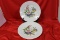 A Pair of Hutschenreuther China Floral Plates