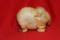 A Jade Elephant