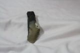 A Megalodon Partial Tooth Fossil