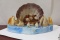 A Shell Art