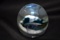 An Artglass Paperweight