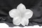 A Frost Glass Flower