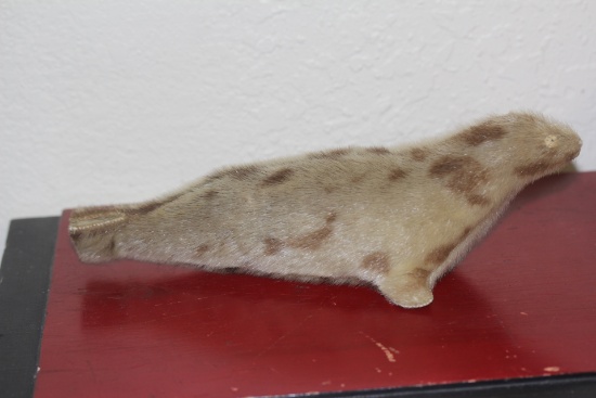 Mohair Seal