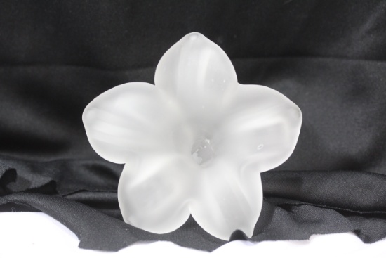 A Frost Glass Flower