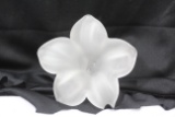 A Frost Glass Flower