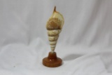 A Shell Art