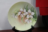 An Antique/Vintage Bavarian Plate