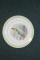 Buffalo Pottery Fish Plate