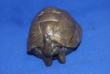 Heavy Metal Erotic Turtle