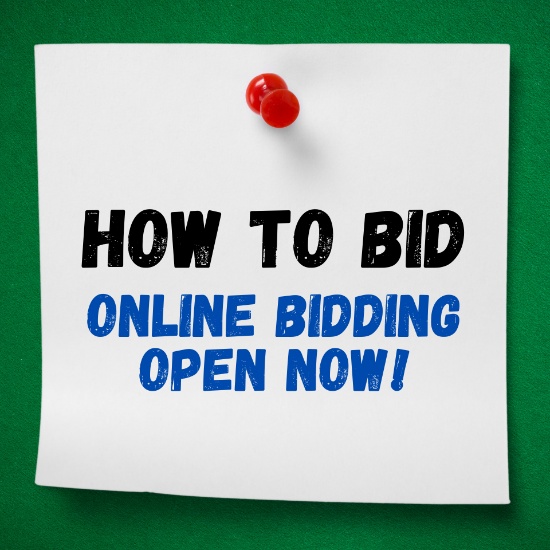 HOW TO GET REGISTERED AND APPROVED TO BID