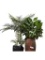 HOME DECOR DIEFFENBACHIA AND ARECA PALM ARTIFICIAL PLANT
