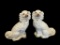 PAIR OF VICTORIAN PERIOD ENGLISH STAFFORDSHIRE SEATED SPANIEL DOG FIGURES MADE IIN ENGLAND